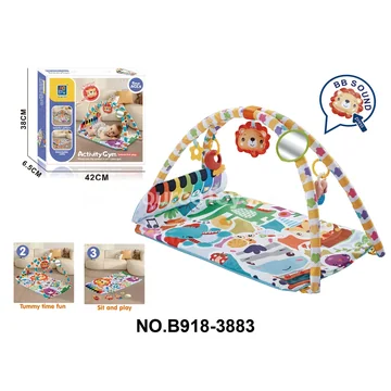 Baby Play Mat with Arch