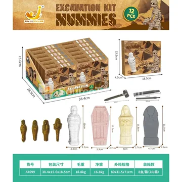 Mummy Excavation Display Box