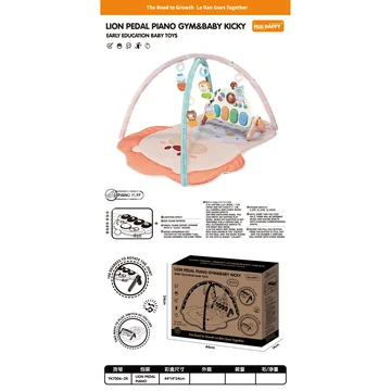 Multifunctional Baby Gym, Girl Style, Requires 3 x 1.5V AA Batteries (Not Included)