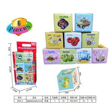 Educational Building Blocks with Blocks (6 PCS)