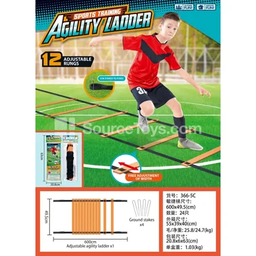 Orange Agility Training Ladder