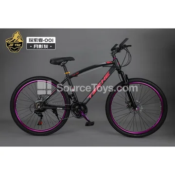 26-inch Two-Wheel Bicycle
