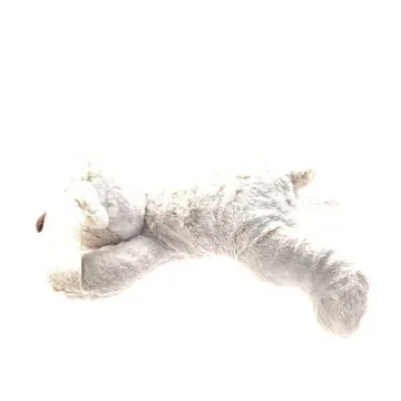Bear Plush Toy
