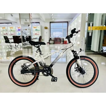 Student Scooter  Royal Guard