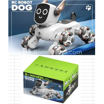 Remote Control Transforming Car with Voice & Gesture Control
