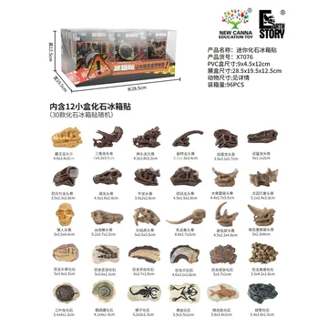 Mini Fossil Refrigerator Magnet