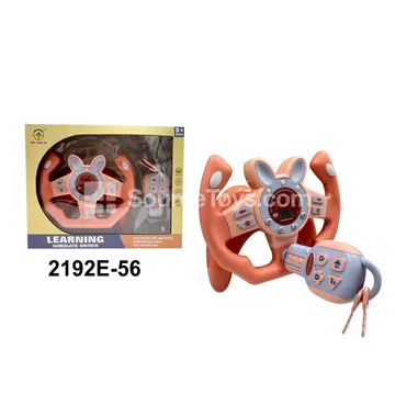 Digital Simulated Racing Bunny Car Pink