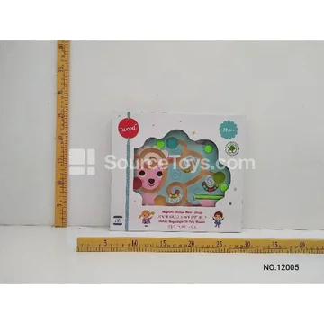 Magnetic Maze