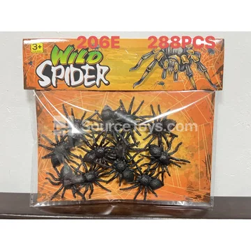 10 Baby Spiders