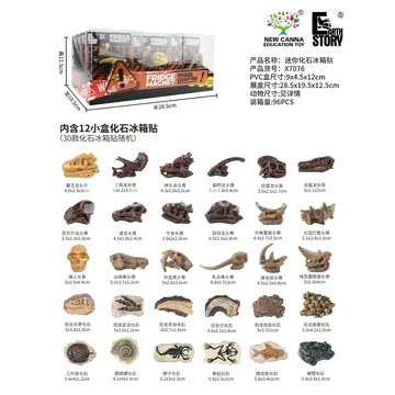 Mini Fossil Refrigerator Magnet