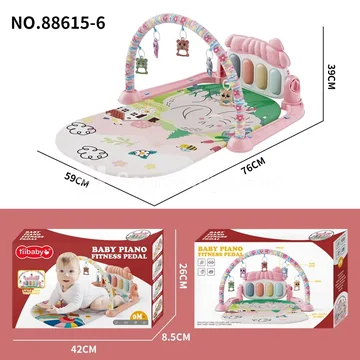 Baby Play Gym