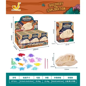 3D Dinosaur Skeleton Excavation Display Box