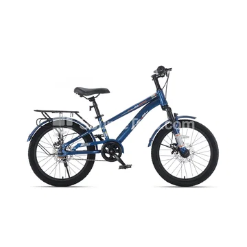 Bicycle with Disc Brake and Rear Carrier