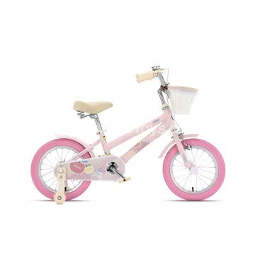 Bicycle Second Generation